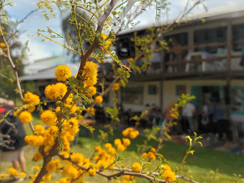 Complejo del Parador Suri - Posada, cabañas y apartamentos, al lado de la playa de Ordeig.