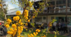 Complejo de Parador Suri – 776666555
