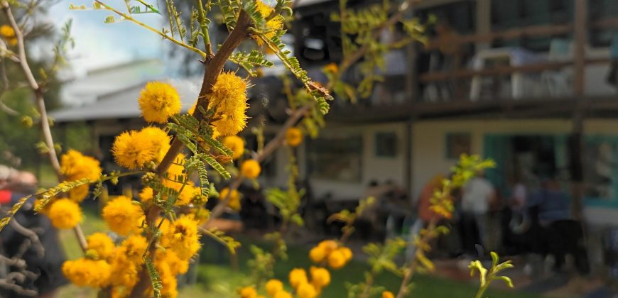 Complejo de Parador Suri – 776666555